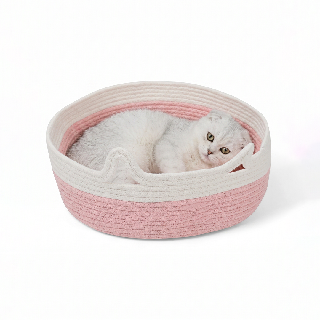 Calm Paw Bed