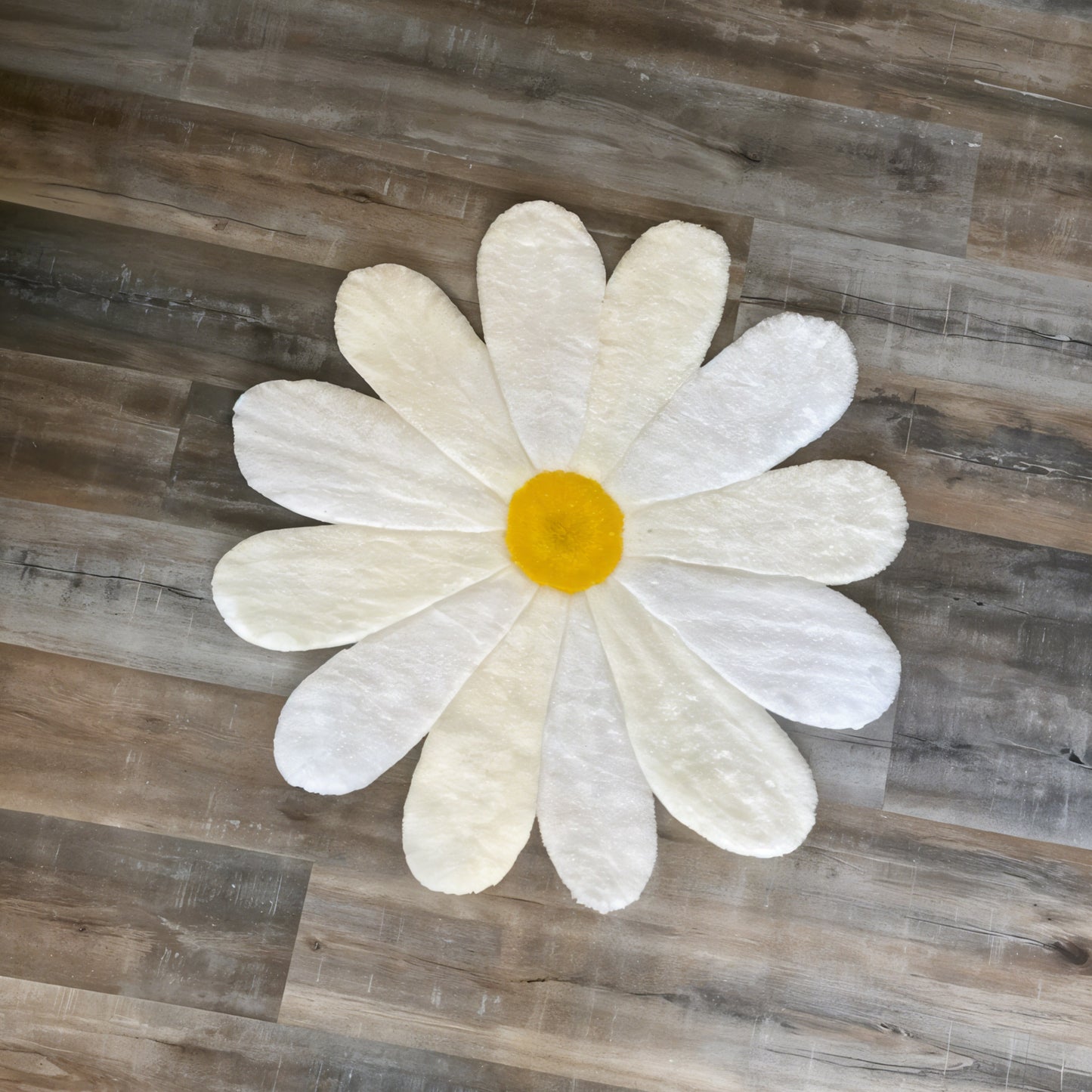 Daisy Bloom