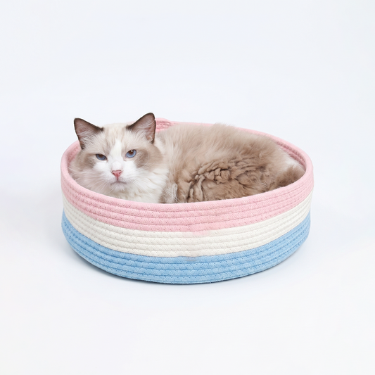 Candy Paw Bed